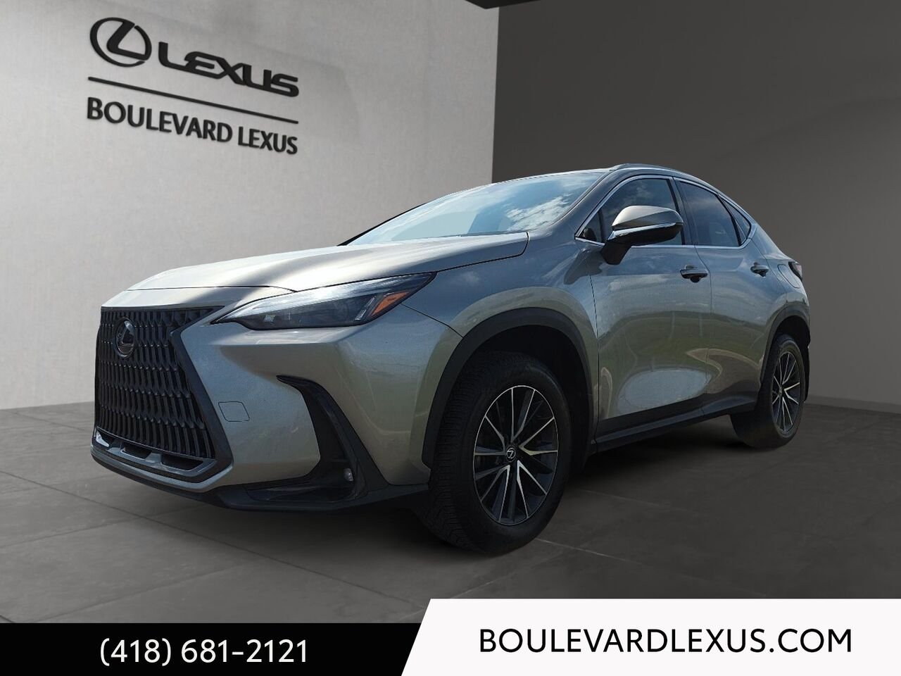 Lexus NX 19935A | NX 350h TI 2024 Argent Québec - photo #0