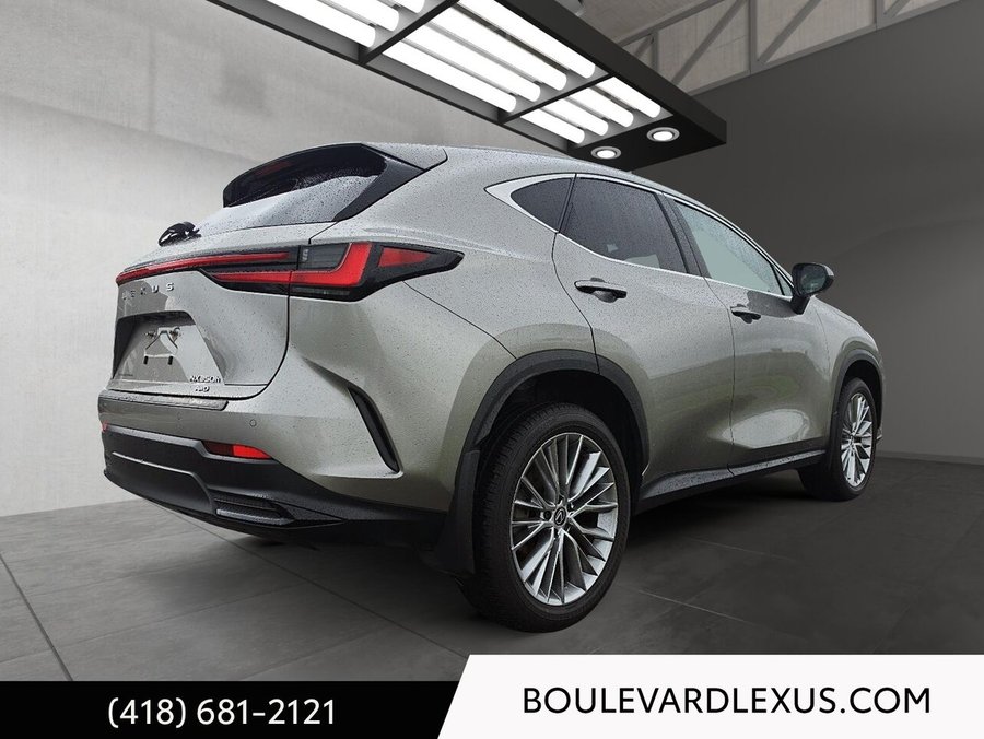 Lexus NX 2024 2024 Argent