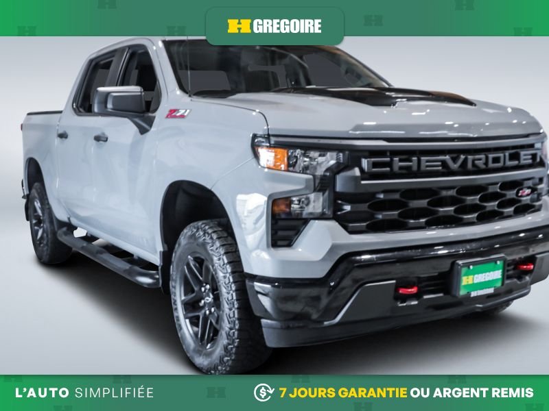 2024 Chevrolet Silverado 1500 2024 Grey