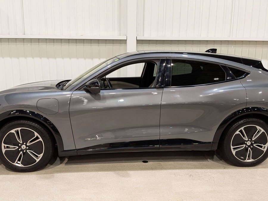 Ford Mustang Mach-E Premium AWD 2023 Gris
