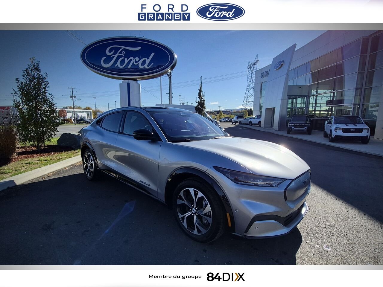 2021 Ford Mustang Mach-E Silver Granby - photo #0