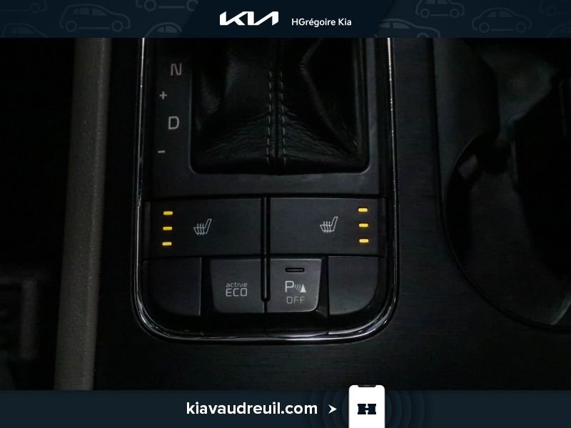 Kia Sedona 2016 Gris Blainville - photo #24