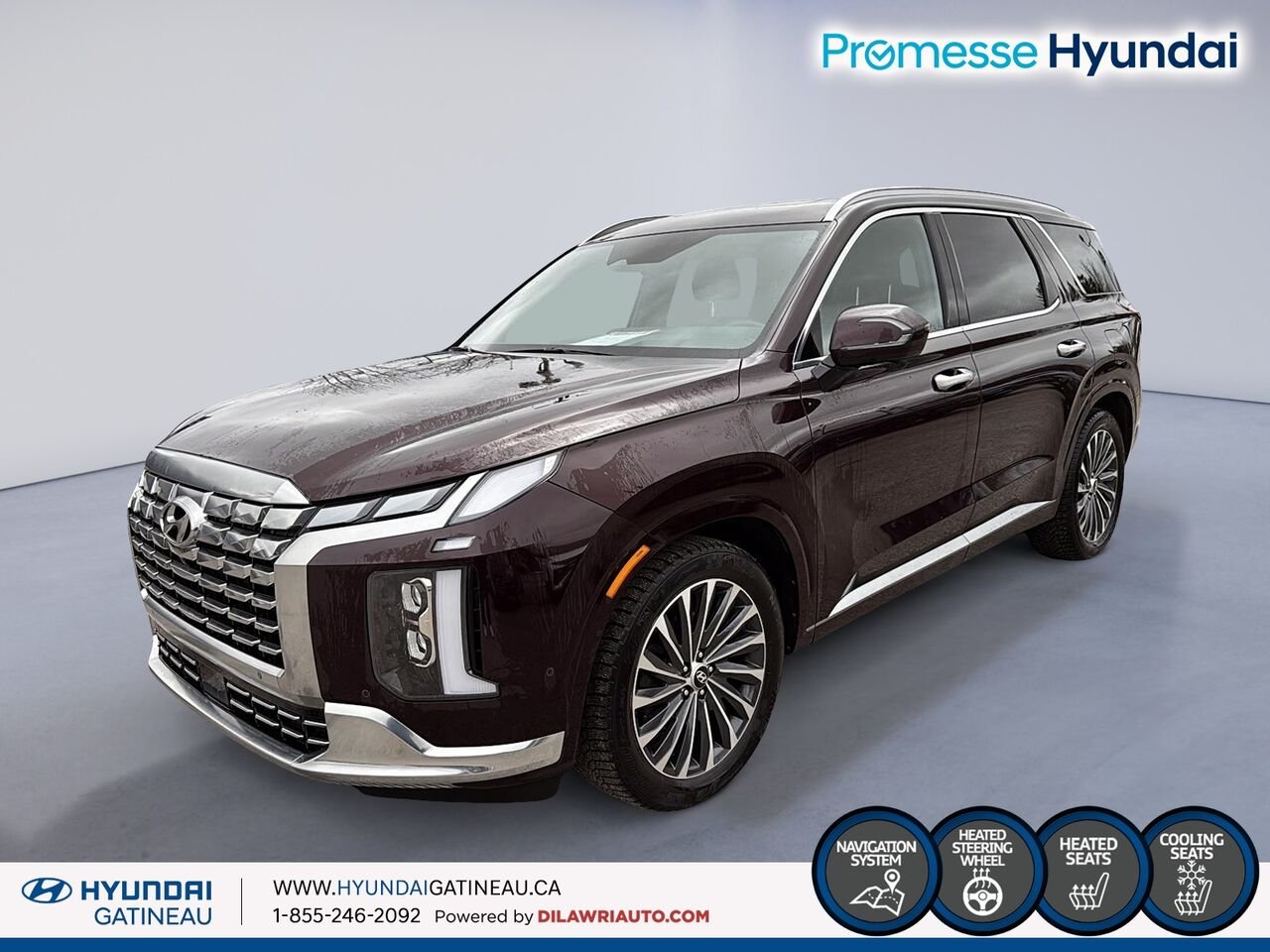 2024 Hyundai Palisade Red Gatineau - photo #0