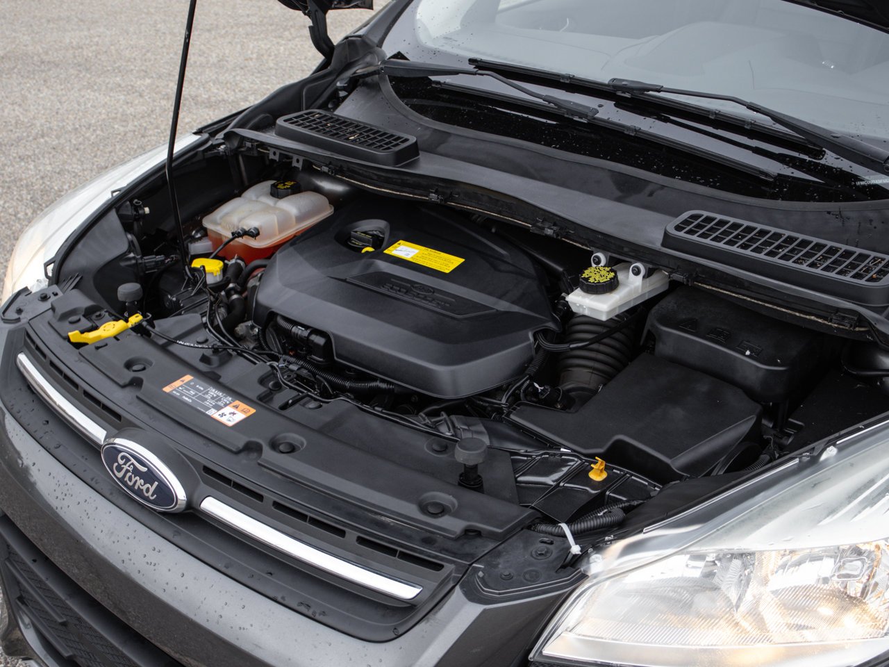 2015 Ford Escape FWD 4dr SE Grey Sherwood Park - photo #7