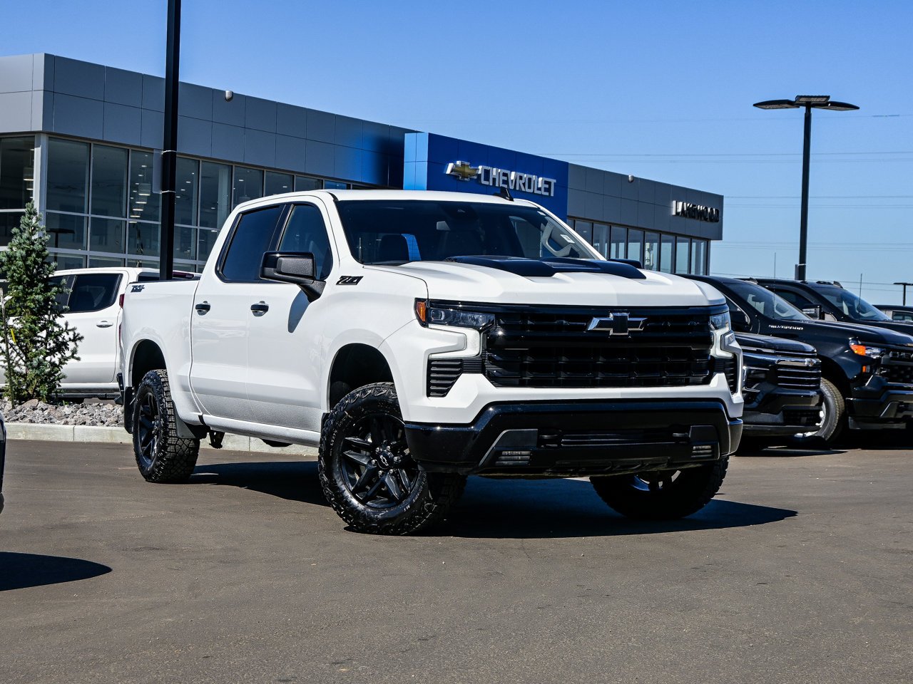 2025 Chevrolet Silverado 1500 4WD Crew Cab 147 LT Trail Boss White Sherwood Park - photo #1