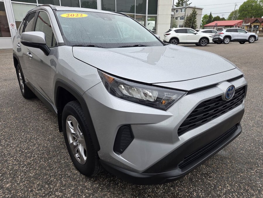 Toyota RAV4 2022 2022 Gris