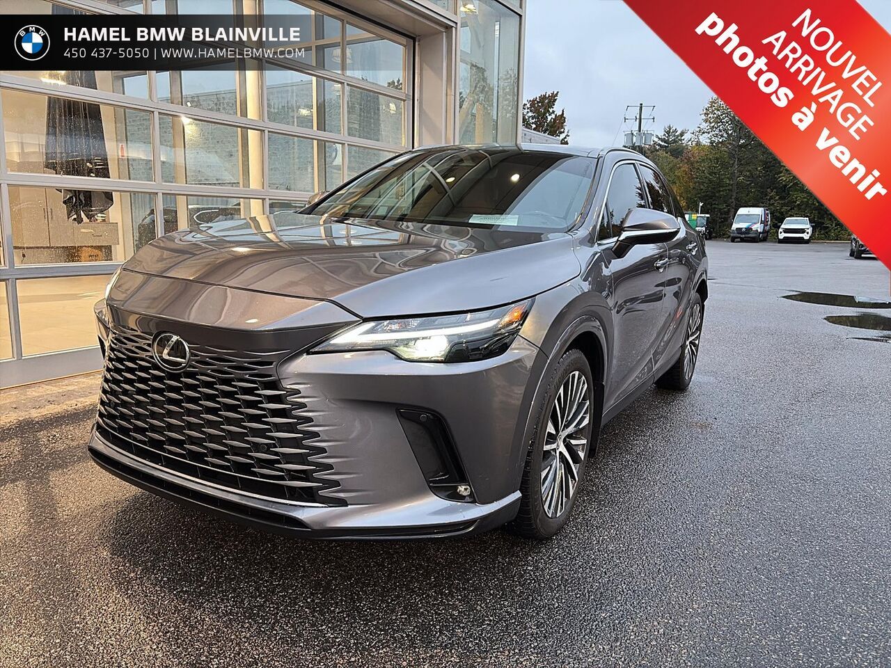 Gray 2023 Lexus RX SUV / Crossover All-Wheel Drive Automatic
