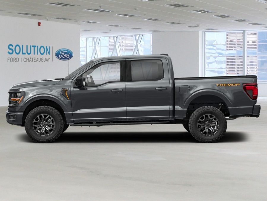 Ford F-150 2026 Gris