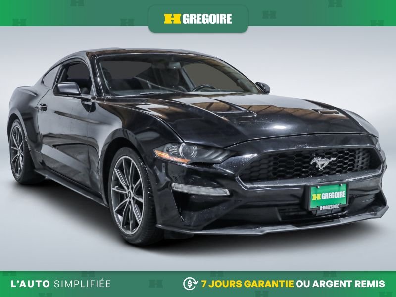 2019 Ford Mustang Black Laval - photo #0