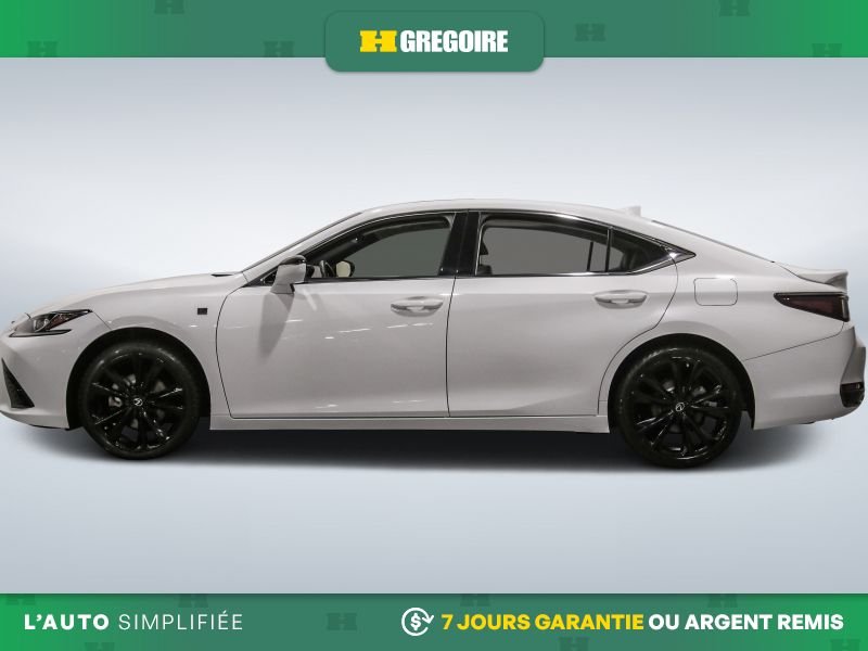 Lexus ES300H 2024 Blanc Blainville - photo #4