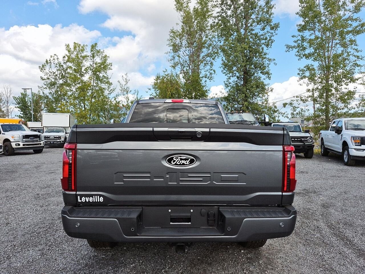 Ford F-150 26631 | XLT 2026 Gris marais Saint-Jérôme - photo #4