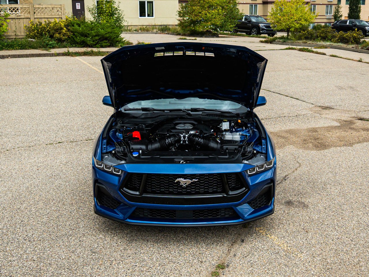 2024 Ford Mustang GT Premium Fastback Blue Sherwood Park - photo #9
