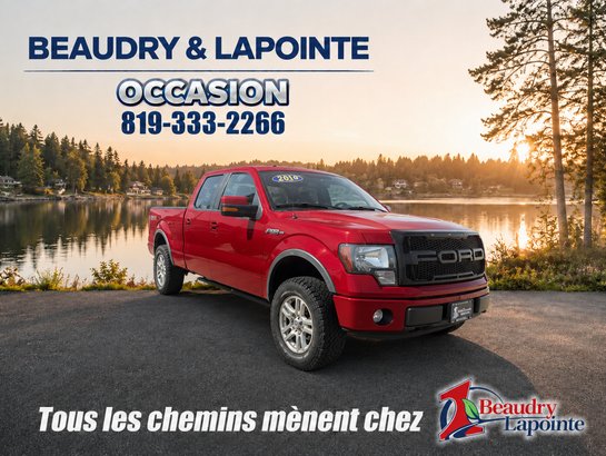 Ford F-150 Cab SuperCrew 4RM 157 po FX4 2014 Rouge