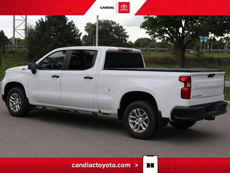 Chevrolet Silverado 1500 2023 Blanc Blainville - photo #7