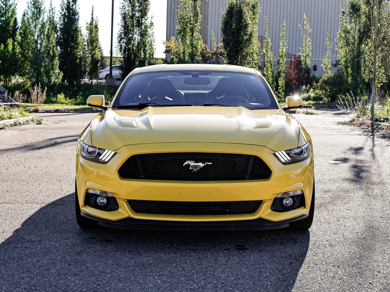 2015 Ford Mustang 2dr Fastback GT Premium Yellow Sherwood Park - photo #2