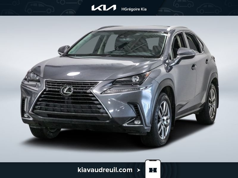 2021 Lexus NX 2021 Grey