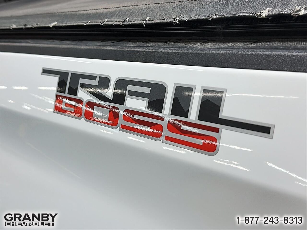 Chevrolet Silverado 1500 LTD LT Trail Boss cabine multiplace 4RM 157 po | G3735 2022 Blanc Granby - photo #19