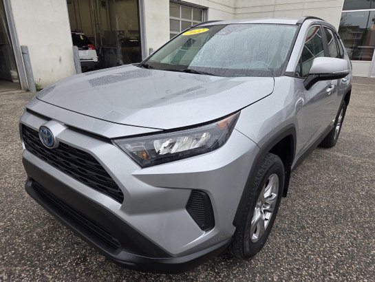 2022 Toyota RAV4 2022 Grey