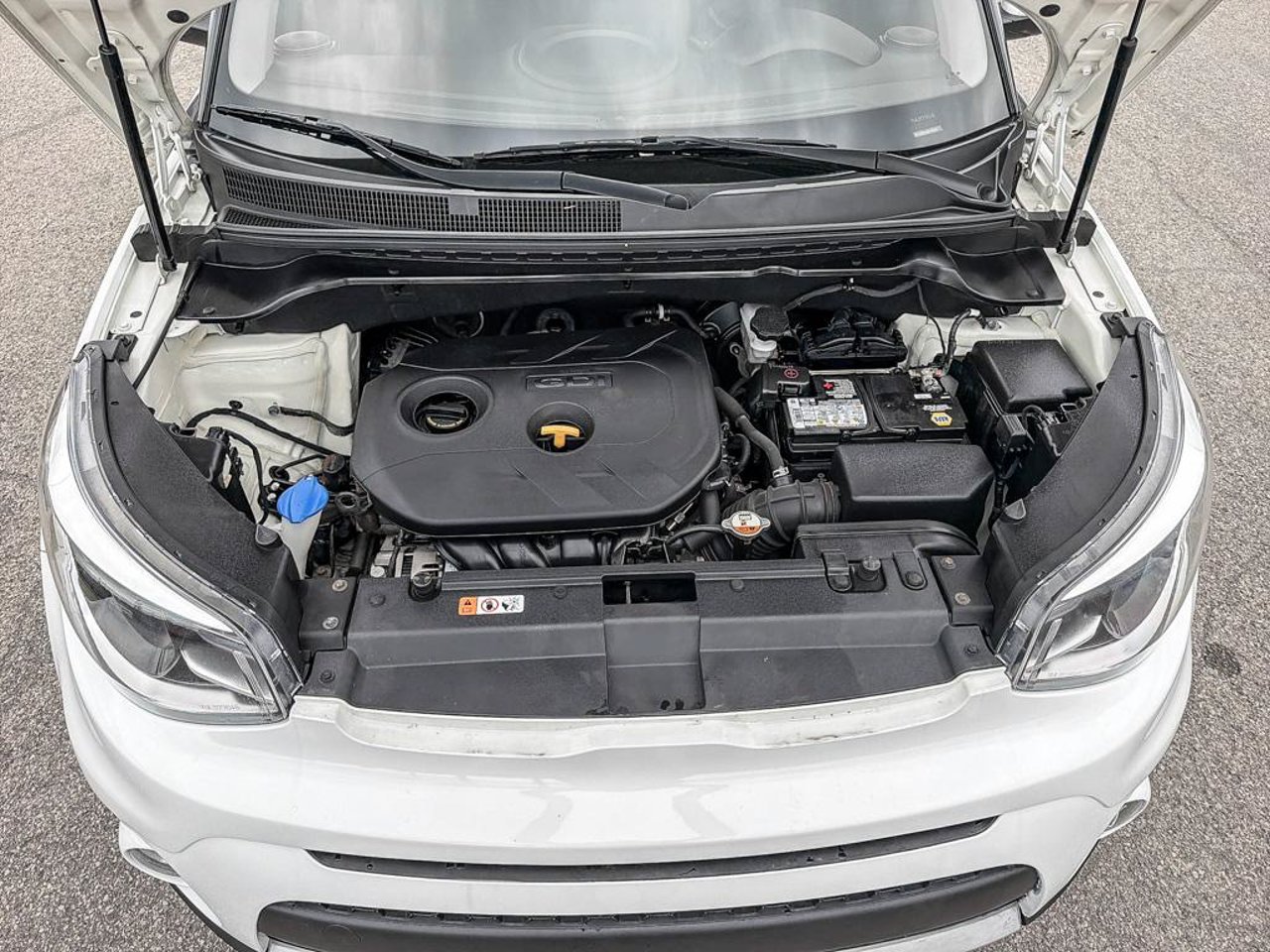 Kia Soul KNDJP3A55K7687840 2019 Blanc Mirabel - photo #12