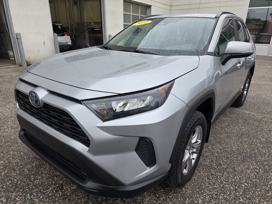 Toyota RAV4 2022 2022 Gris