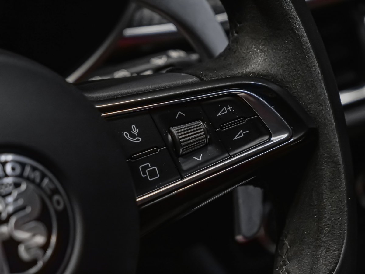 Alfa Romeo Stelvio QUADRIFOGLIO CARBONE 2024 Noir Montréal - photo #19