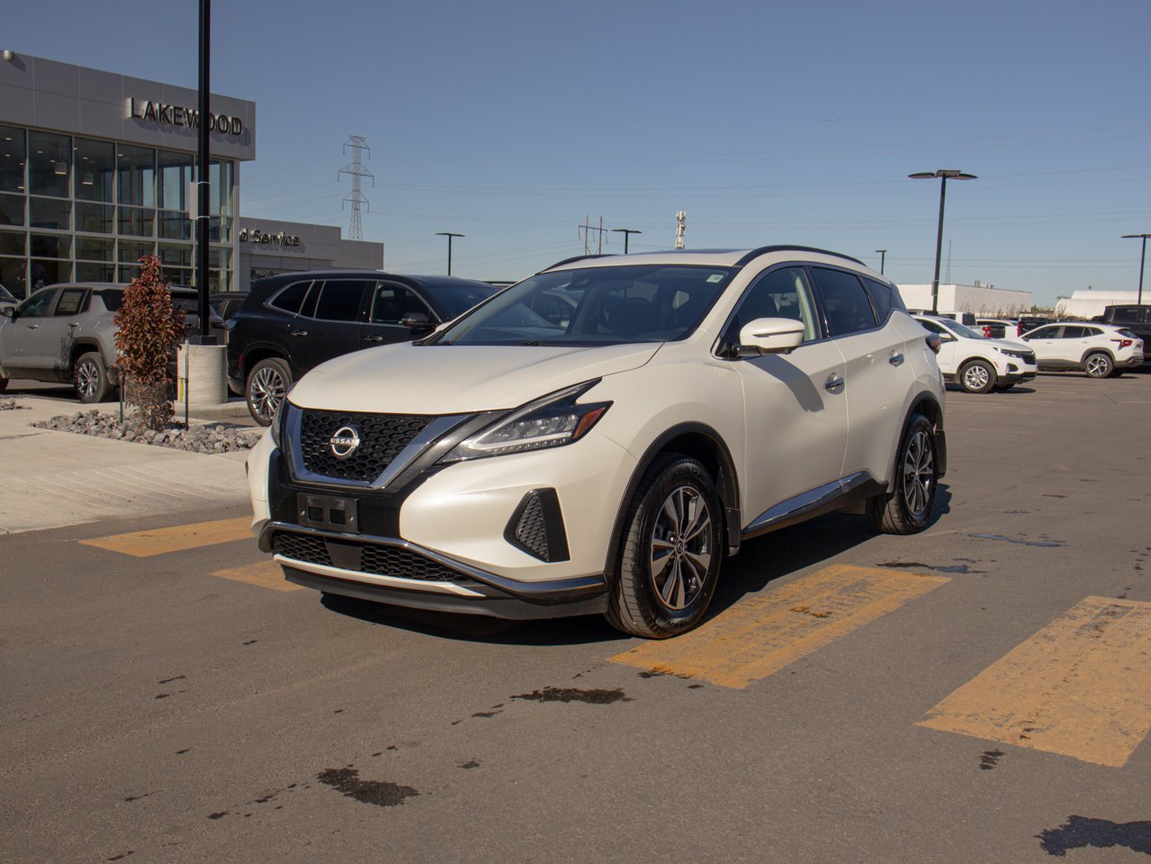 2024 Nissan Murano AWD SV White Sherwood Park - photo #3