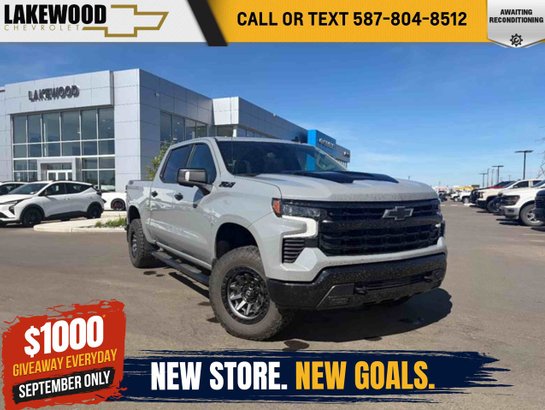 2024 Chevrolet Silverado 1500 2024 Grey