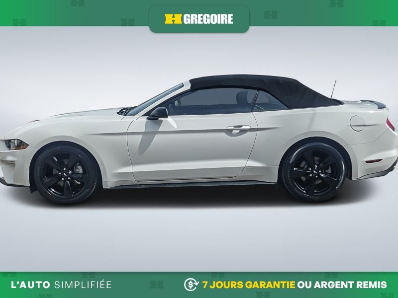 2021 Ford Mustang White Laval - photo #4