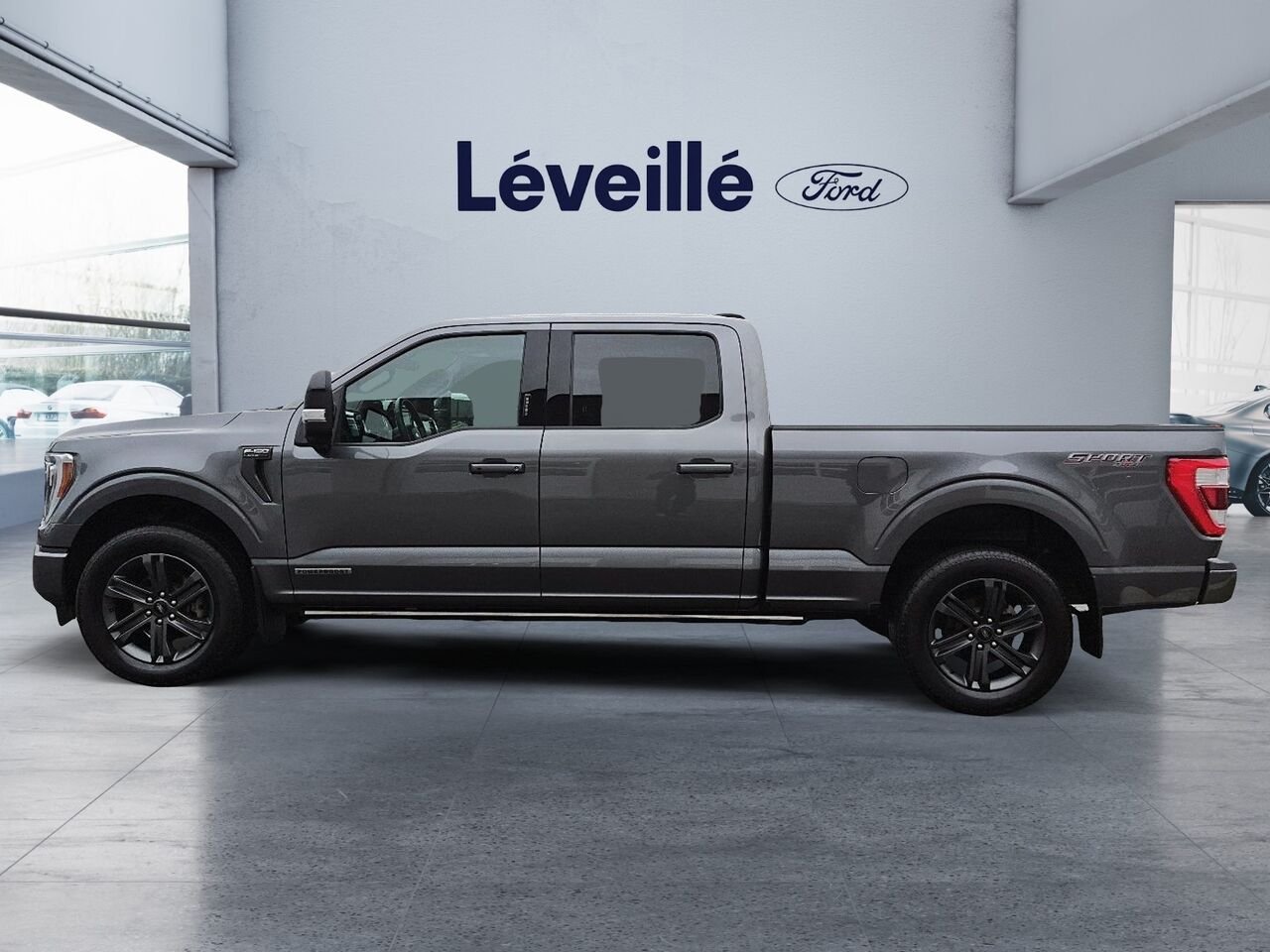 2023 Ford F-150 Grey Saint-Jérôme - photo #4
