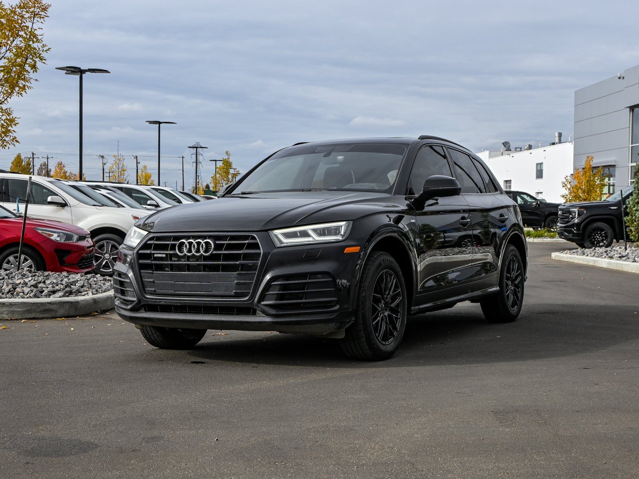 2019 Audi Q5 Progressiv 45 TFSI quattro Black Sherwood Park - photo #3