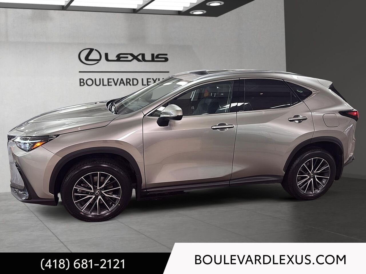 Lexus NX 19365A 2024 Argent Québec - photo #5