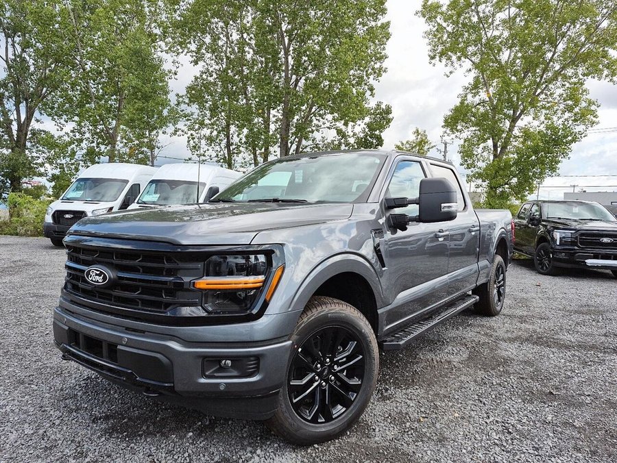 Ford F-150 2026 2026 Gris marais