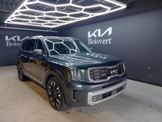 2024 Kia Telluride 2024 Grey