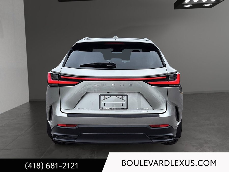 Lexus NX 2022 2022 Argent
