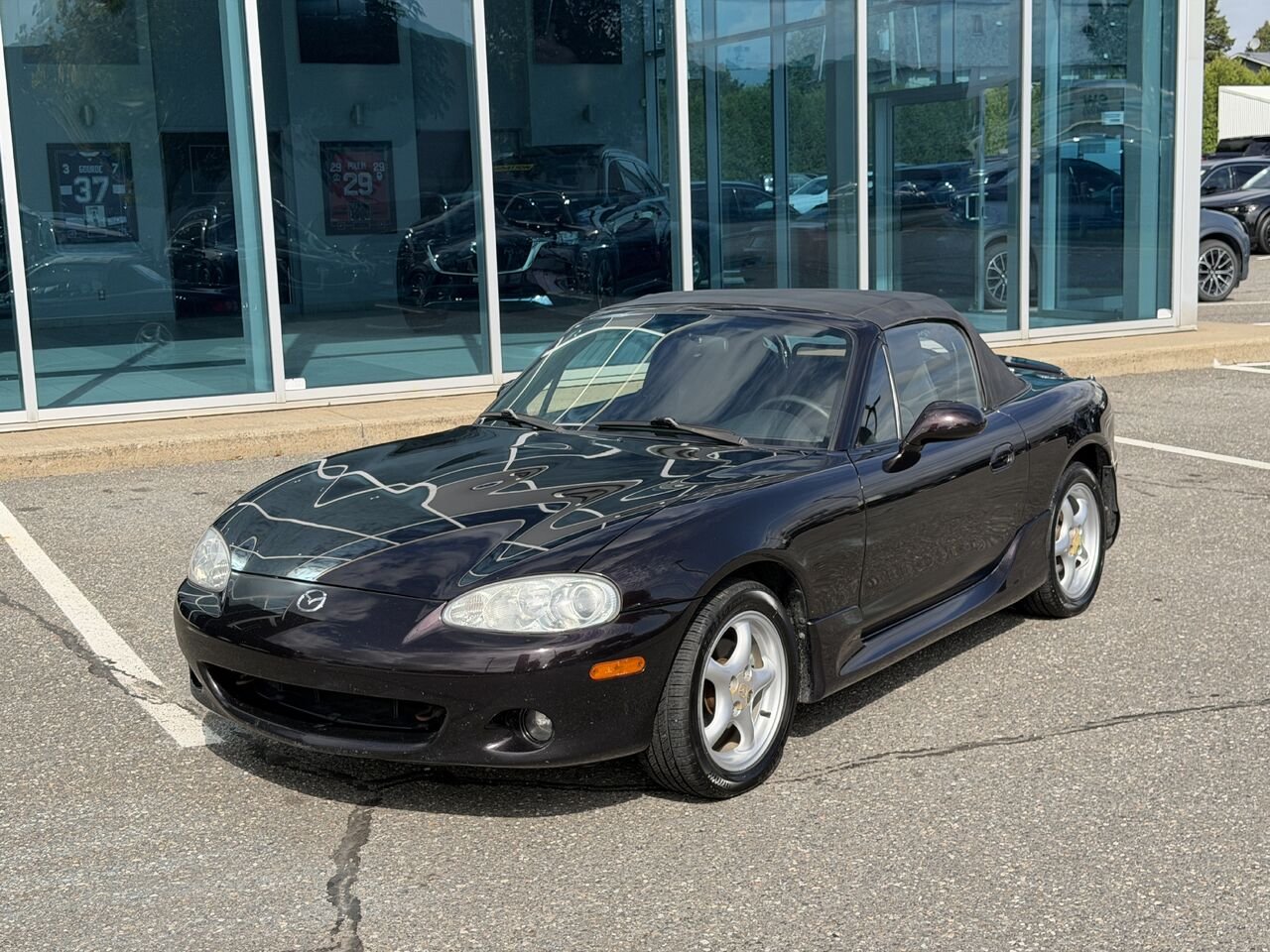 2004 Mazda MX-5 Miata Purple Ste-Marie - photo #1