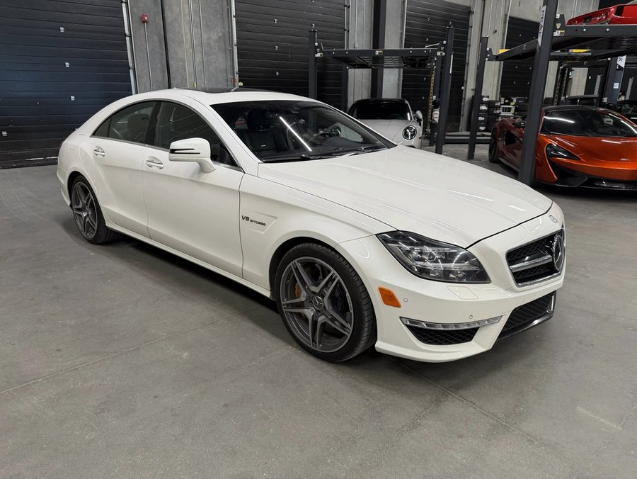2014 Mercedes-Benz CLS-Class 2014 White