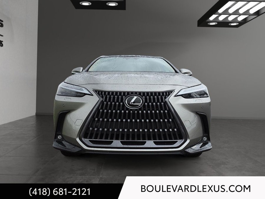 Lexus NX 2024 2024 Argent