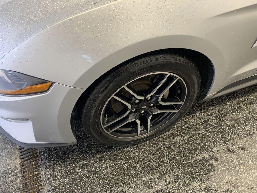 2019 Ford Mustang EcoBoost à toit fuyant Silver