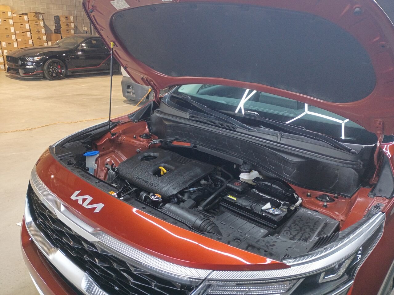 2023 Kia Seltos Orange Blainville - photo #33