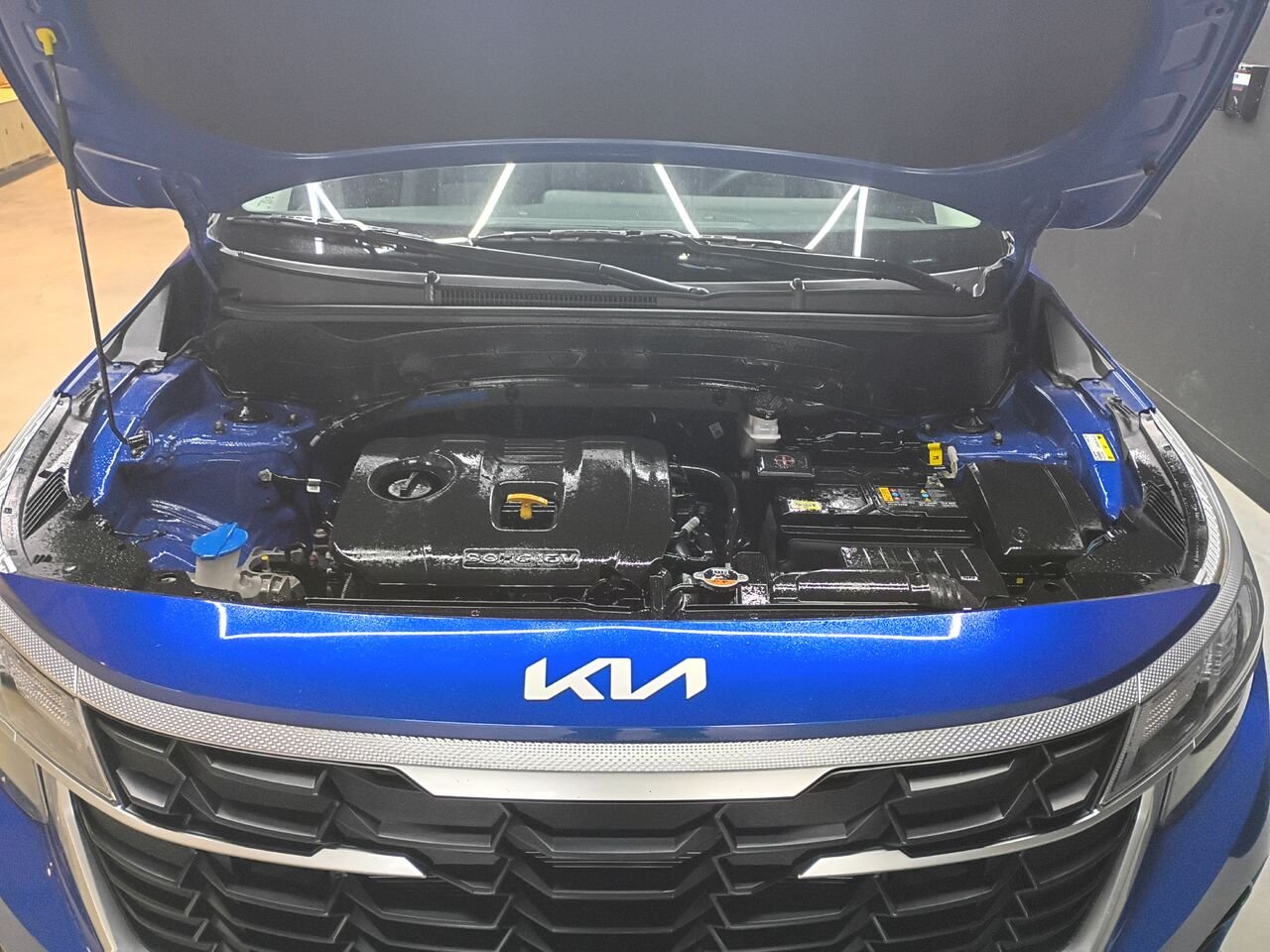 Kia Seltos 2024 Bleu Blainville - photo #30