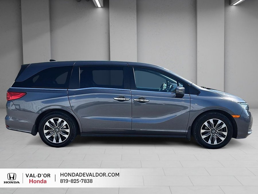 Honda Odyssey 2023 2023 Gris