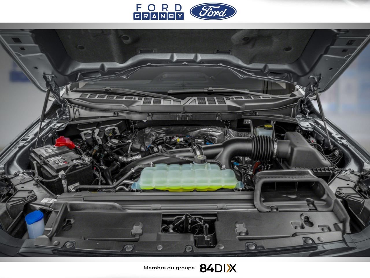 Ford F-150 2025 Blanc Oxford Granby - photo #10