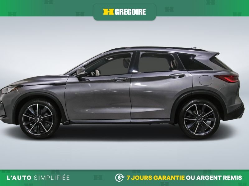 2023 Infiniti QX50 2023 Grey