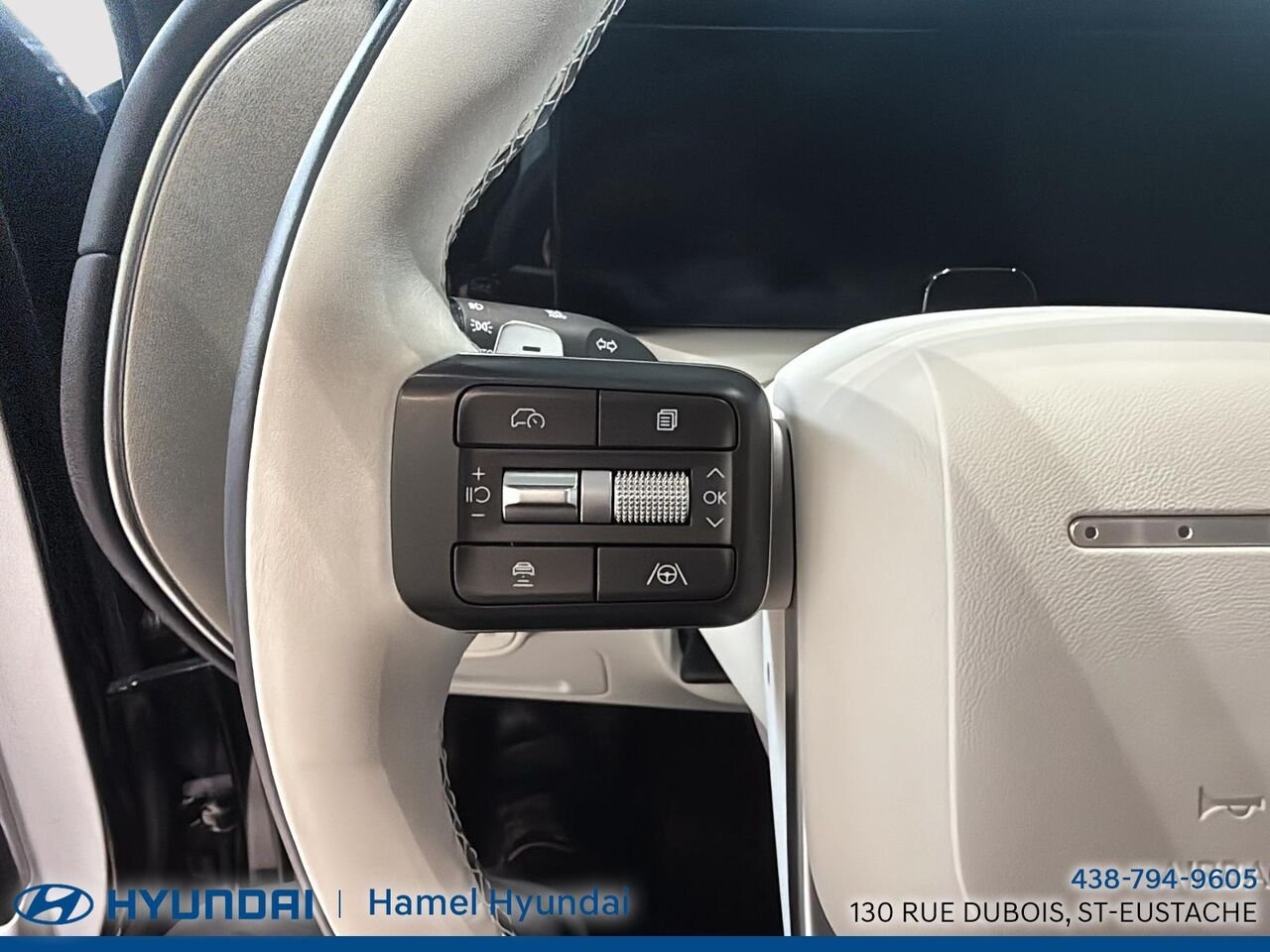 2026 HYUNDAI Palisade Abyss Black Saint-Eustache - photo #11