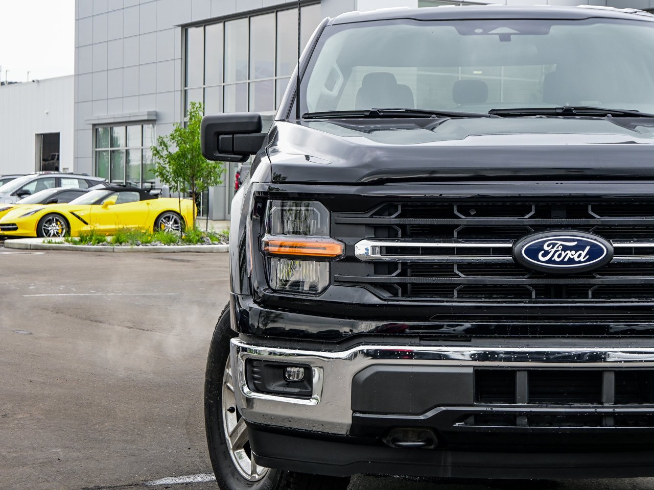 2025 Ford F-150 XLT 4WD SuperCrew 5.5' Box Black Sherwood Park - photo #4