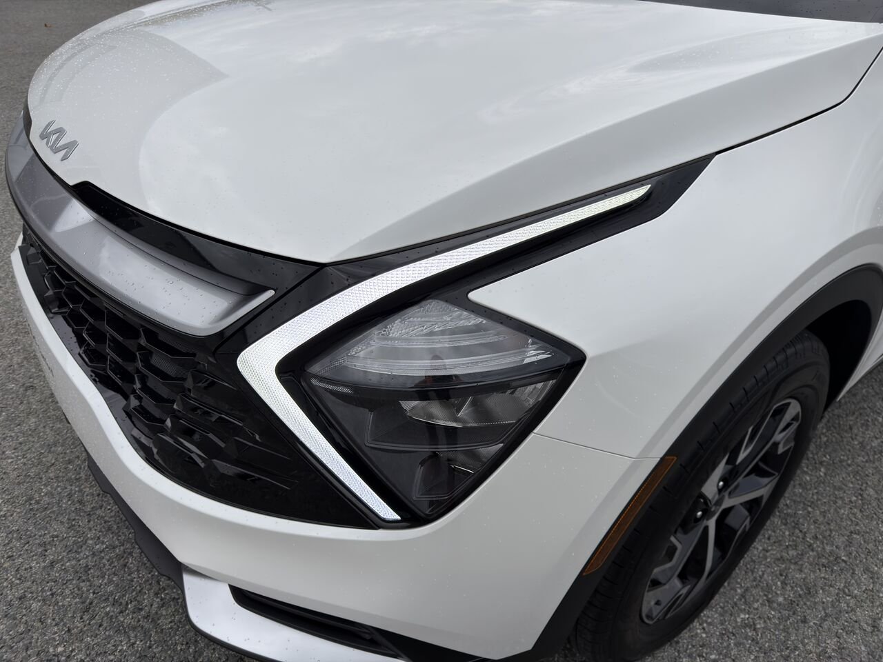 Kia Sportage 2024 Blanc Thetford Mines - photo #5