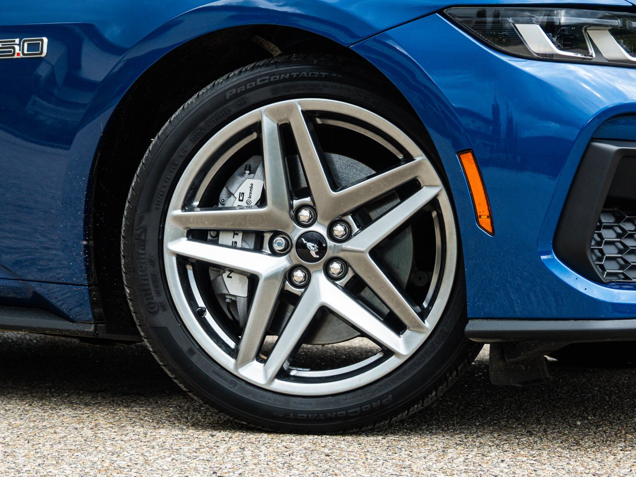 2024 Ford Mustang GT Premium Fastback Blue Sherwood Park - photo #5