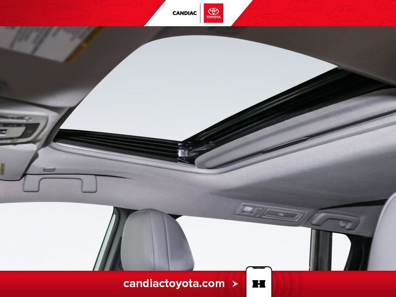 Toyota Sienna 2025 Gris Saint-Eustache - photo #29