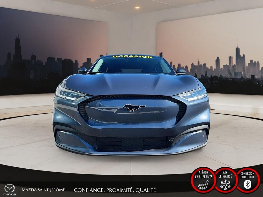 Ford Mustang Mach-E 2021 2021 Bleu