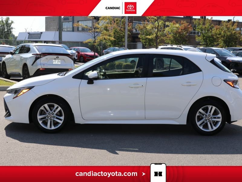 2019 Toyota Corolla 2019 White